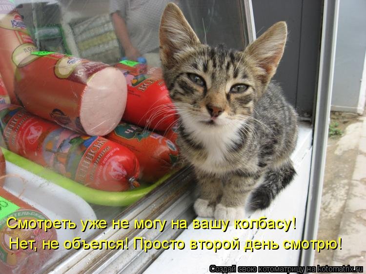 Фразы из маленького принца. Код работает не знаю почему. Знаешь почему в мире так много зла почему. А не знаете что почему. Котоматрица лучшие за прошлую неделю.