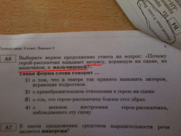 Укажите верное продолжение. Смешные вопросы ЕГЭ. Глупые вопросы в ЕГЭ. Глупые задания из ЕГЭ. Прикольные вопросы ЕГЭ.