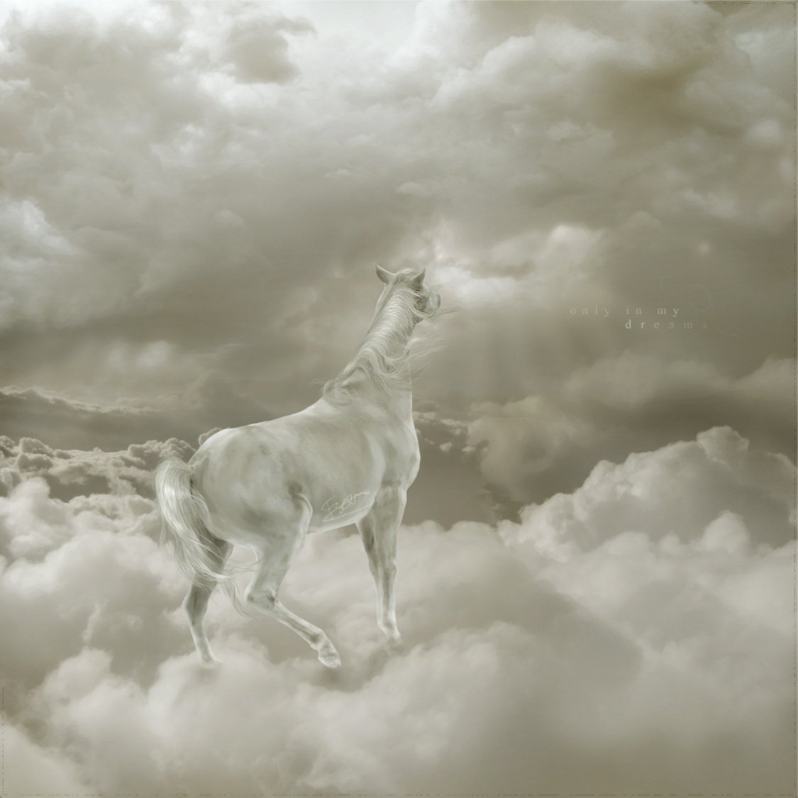 Белые кони кадышевой. Небесные лошади. Лошадь в облаках. Белый конь. Лошадь в небе.