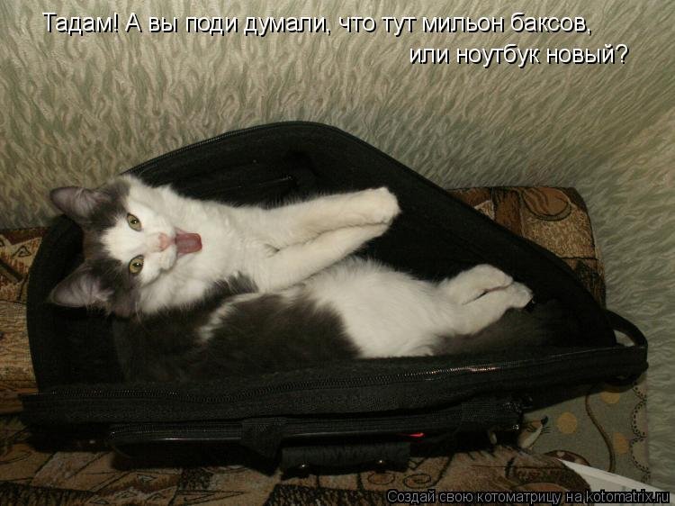 Ну наконец то дождались свадьба в малиновке. Когда наконец то приехала на море. Наконец то пятница. Подруге для поднятия настроения. Наконец то он приехал.