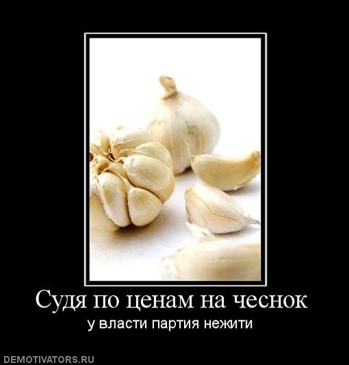 Прикольные картинки про чеснок