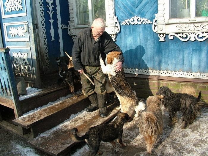 Хозяин деревни. Дед с собакой в деревне. Старик и пес в деревне. Старик с собакой в деревне. Старый дом с собаками.