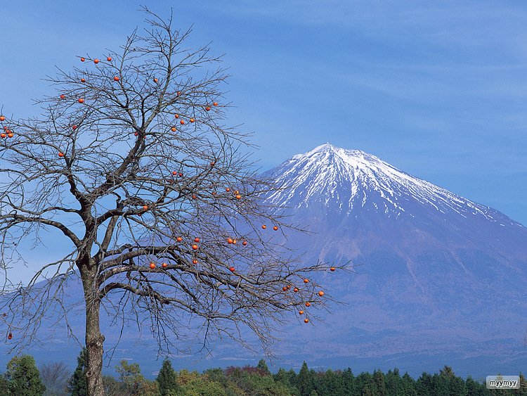 Фудзи сан фото