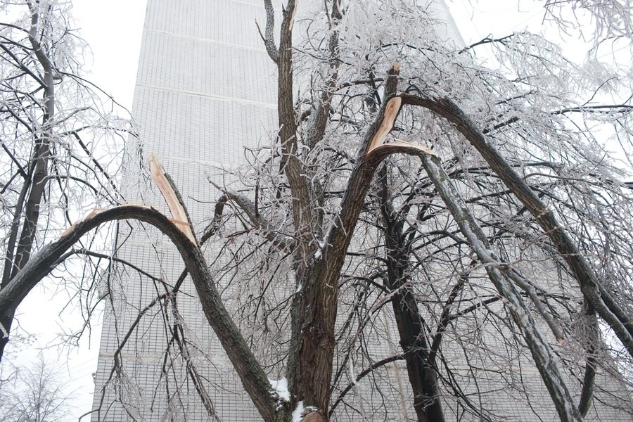 Москва ледяной дождь сегодня. Ледяной дождь в Москве 2010. Последствия ледяного дождя в Москве. Ледяной дождь Подмосковье. Ледяной дождь в Москве 2010 последствия.