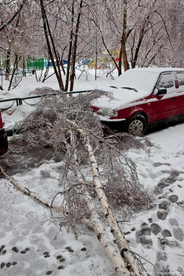 Москва ледяной дождь сегодня. Ледяной дождь декабрь 2010 Москва. Ледяной дождь в Москве 2010. 2010 Год, декабрь. Ледяной дождь в России. Ледяной дождь в Москве 25 декабря 2010.