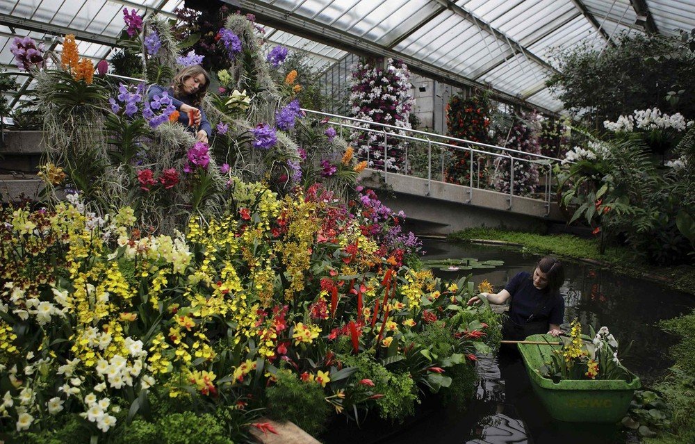 Ботанический сад кью в лондоне фото