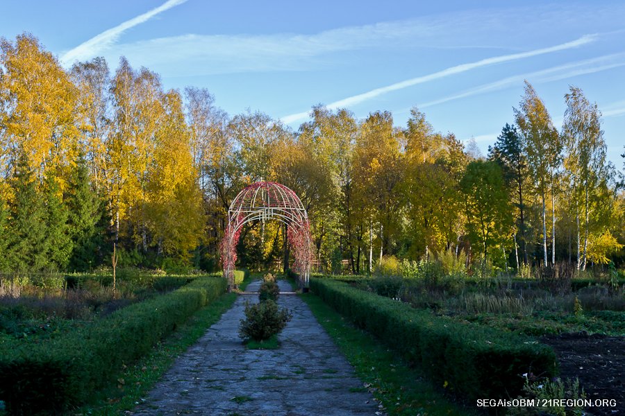 Чебоксарский ботанический сад чебоксары фото